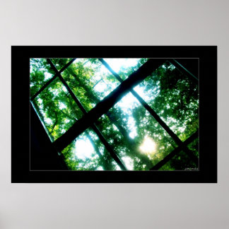 tittar för frihet poster