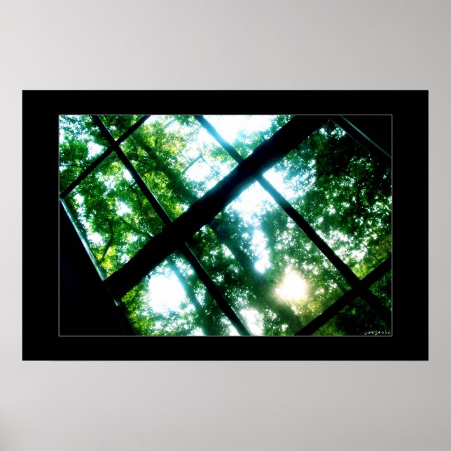 tittar för frihet poster (Framsidan)