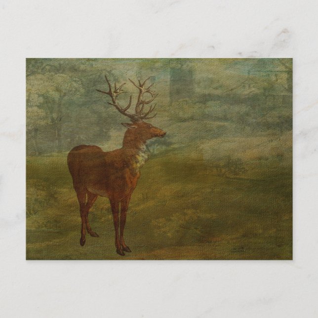 Tittar för Landseer Vykort (Framsida)