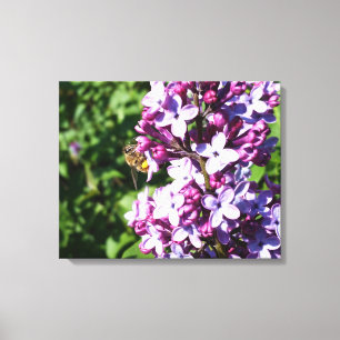 Tittar för Nector och Pollen HonungsBee och Lilac Canvastryck