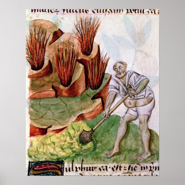 Tittar för svavel, dioscorider, De Herbis Poster (Framsidan)