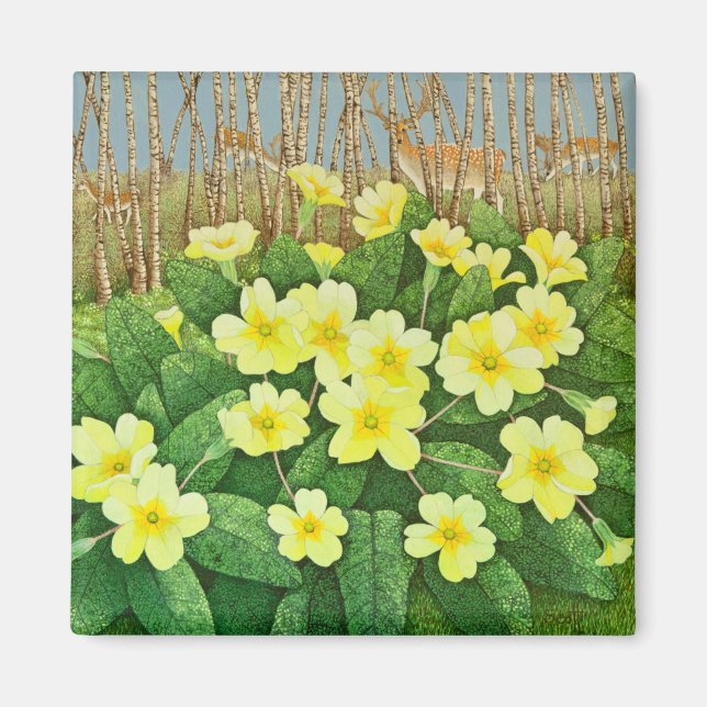 Tittar förhoppning 2011 magnet (Framsidan)