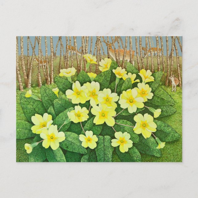 Tittar förhoppning 2011 vykort (Framsida)