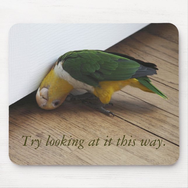 Tittar försök musmatta (Framsidan)