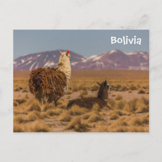 Tittar framåt vykort