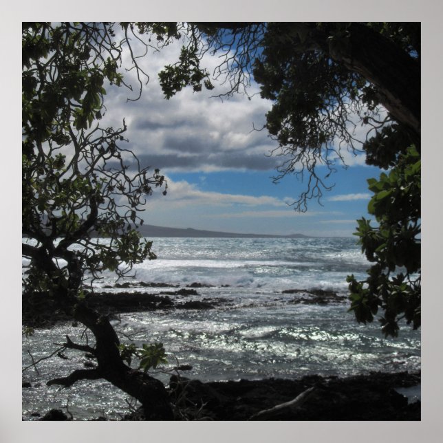 Tittar genom fönstret poster (Framsidan)