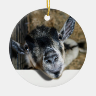 Tittar get ut julgransprydnad keramik