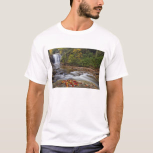 Tittar glasfall i Pisgahs nationalpark Tee Shirt
