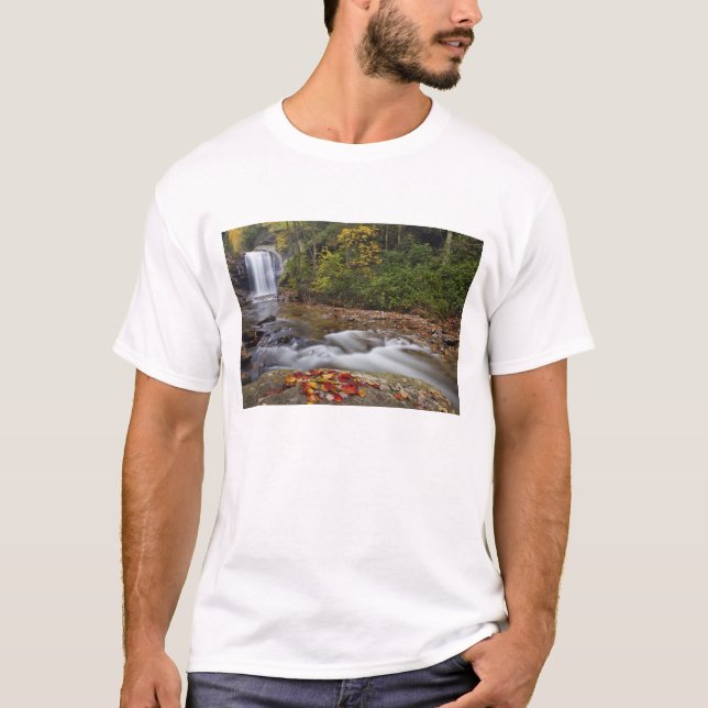 Tittar glasfall i Pisgahs nationalpark Tee Shirt (Framsida)