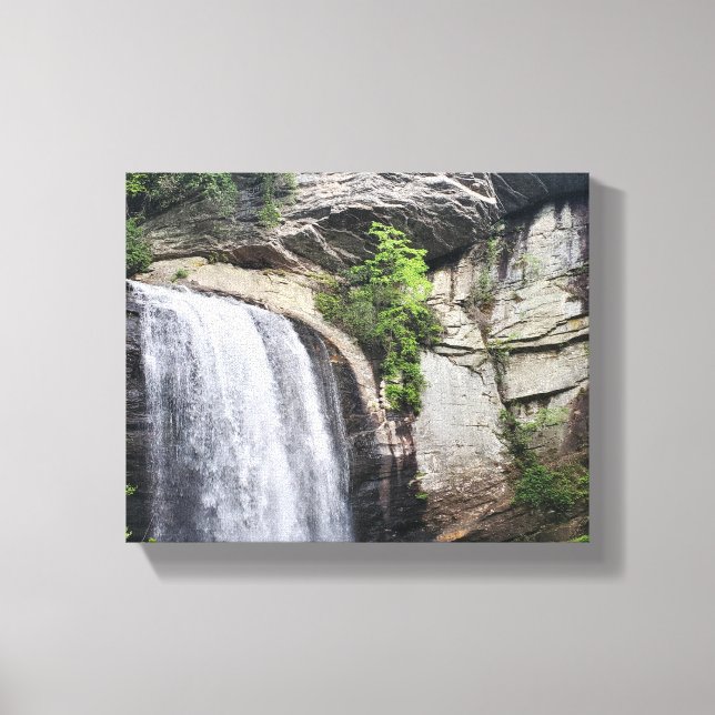 Tittar Glass Falls Brevard North Carolina Canvastryck (Framsida)