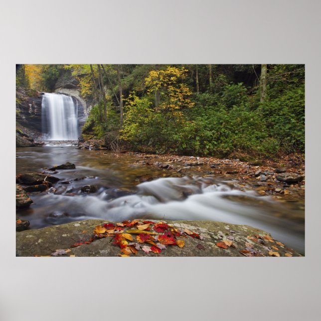 Tittar Glass Falls i Pisgah National Poster (Framsidan)