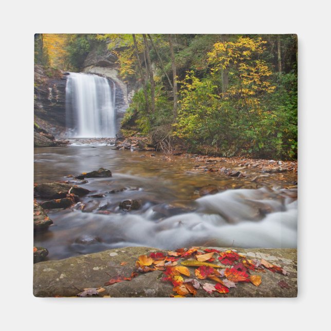 Tittar Glass Falls Pisgah National Forest Magnet (Framsidan)