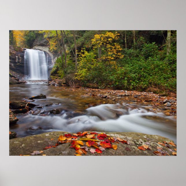Tittar Glass Falls Pisgah National Forest Poster (Framsidan)