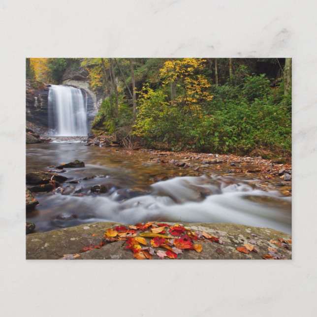 Tittar Glass Falls Pisgah National Forest Vykort (Framsida)
