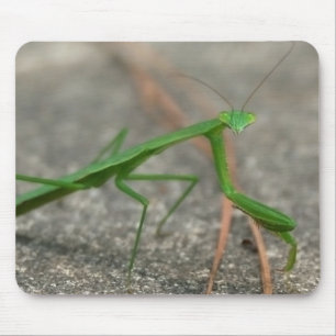 Tittar här dig Mousepad (åt sidan) Musmatta