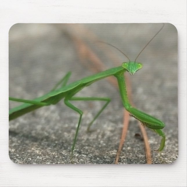 Tittar här dig Mousepad (åt sidan) Musmatta (Framsidan)