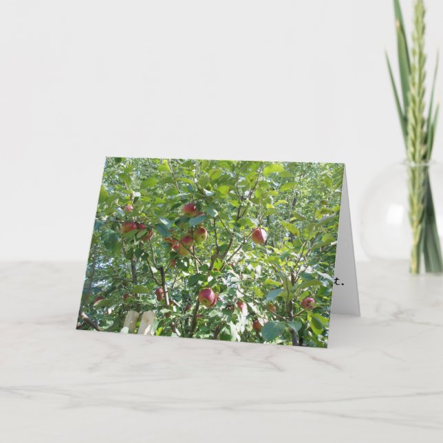 "Tittar i Apple Träd" gratulationskort Kort (Framsida)