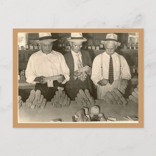 TITTAR i MAJ Vykort (Framsida)