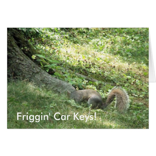 TITTAR i NYCKLAR Hälsningskort (Framsidan Horizontal)