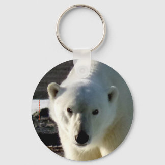 Tittar i öga på en Polar björn Nyckelring