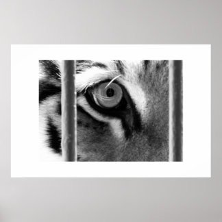 tittar igenom poster