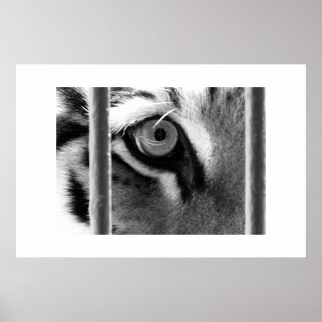 tittar igenom poster (Framsidan)