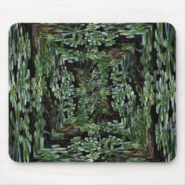 Tittar in.. musmatta (Framsidan)