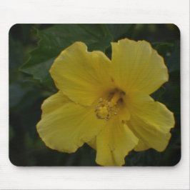 Tittar insida en gul blomma Mousepad Musmatta