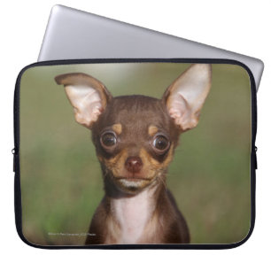 Tittar kamera för Chihuahua valp Laptop Fodral