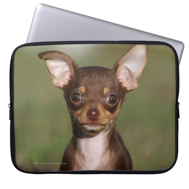 Tittar kamera för Chihuahua valp Laptop Fodral (Framsidan)