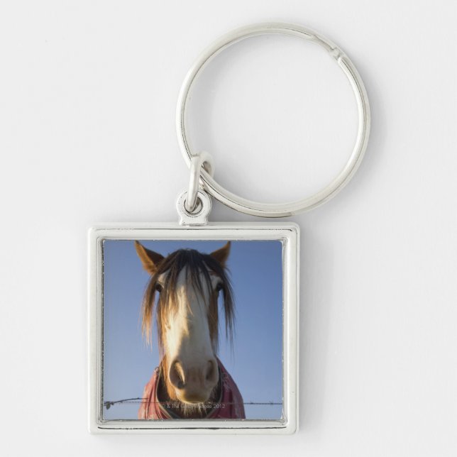Tittar kameran fyrkantig silverfärgad nyckelring (Framsidan)