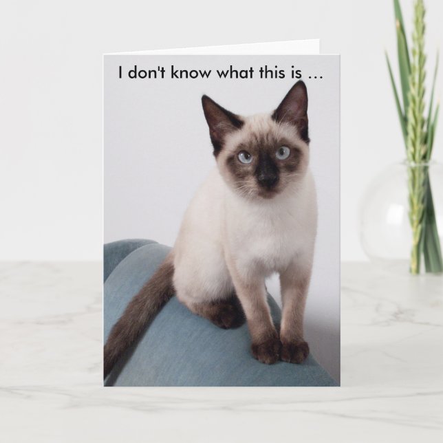 Tittar katt på lustigt födelsedagskort kort (Framsida)