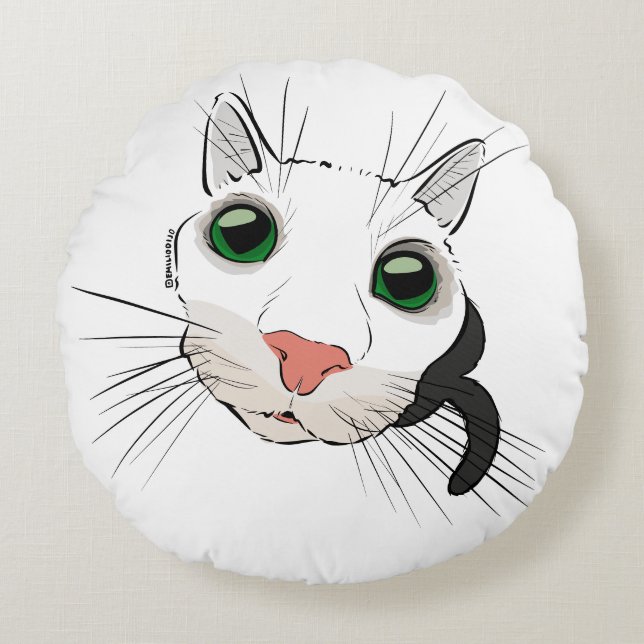 Tittar katt rund kudde (Framsidan)