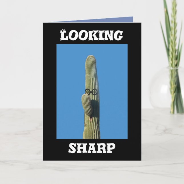 Tittar kor för Saguarokaktus humoristisk Kort (Framsida)