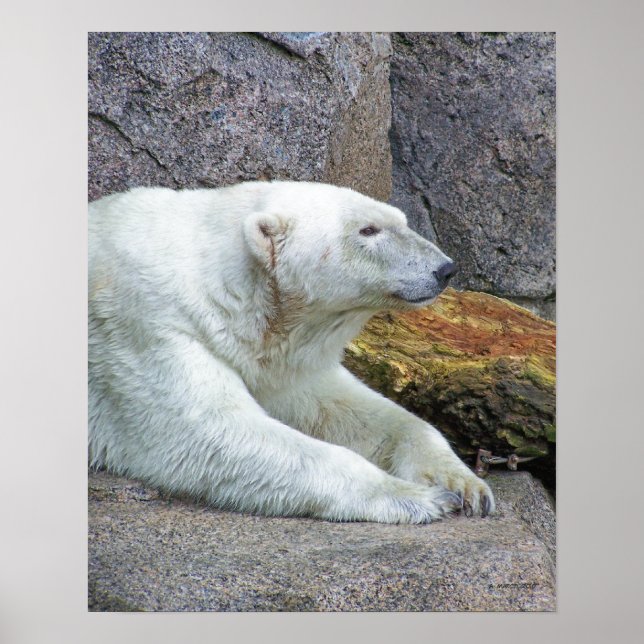 Tittar norr poster (Framsidan)