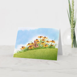 Tittar nyckelpigor kort