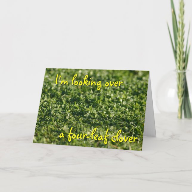 Tittar över ett passande kort för klöverSt (Framsida)