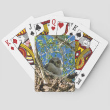 Tittar på dig som spelar kort