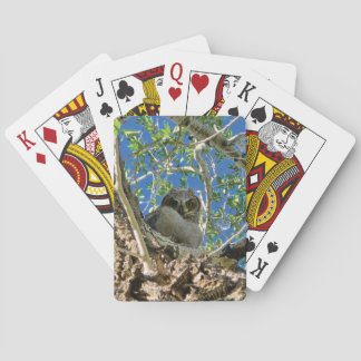 Tittar på dig som spelar kort casinokort