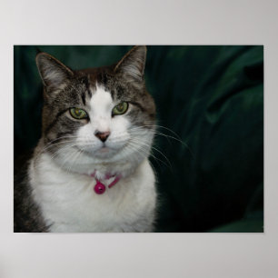 Tittar på dig som tittar på mig poster