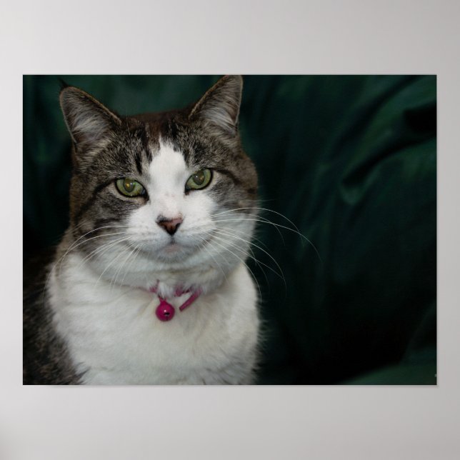 Tittar på dig som tittar på mig poster (Framsidan)