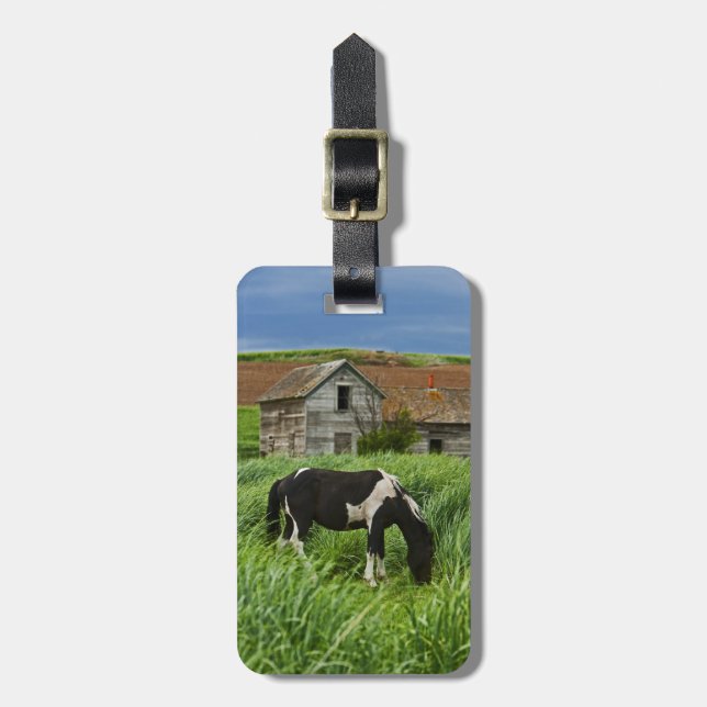 Tittar på hästar i en åker i Palouse 2 Bagagebricka (Vertikal Framsida)