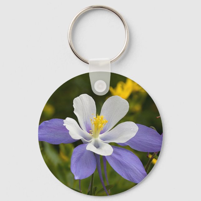 Tittar Skyward Nyckelring (Framsida)