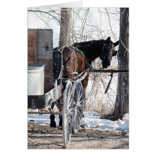 Tittar tillbaka Amish Horse Tillfällen Hälsning Ca Hälsningskort