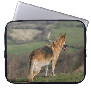 Tittar tyska Shephard besegrar backen Laptop Sleeve
