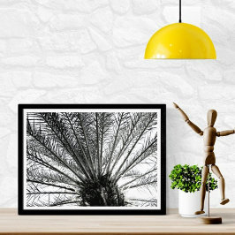 Tittar upp // Black and White Florida Handflatan Fototryck