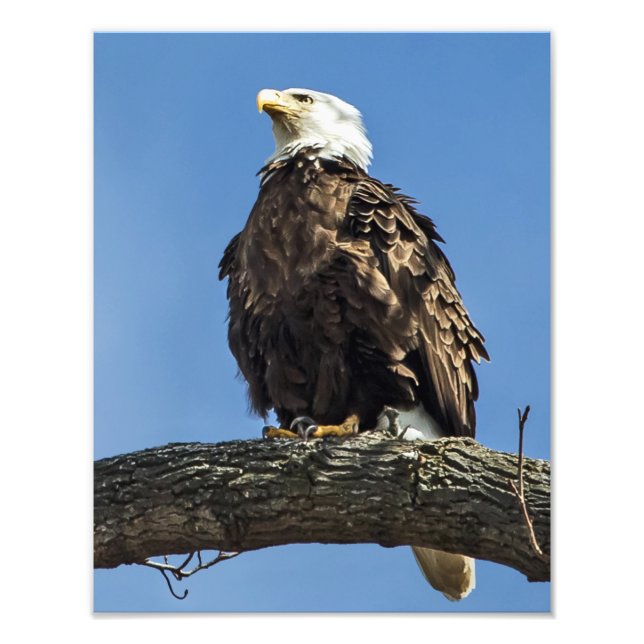 Tittar upp fototryck (Framsidan)