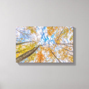 Tittar upp från golv Stretched Canvas