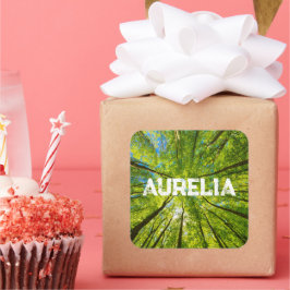 Tittar upp genom grönt träd löv fyrkantigt klistermärke