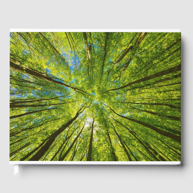 Tittar upp genom grönt träd löv gästböcker (Framsida)